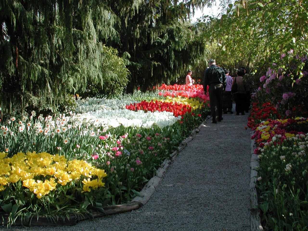 Skagit Valley Tulip Festival - RoozenGaarde