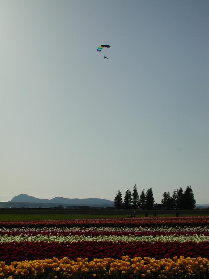 A 'powered paraglider' comes by for a look