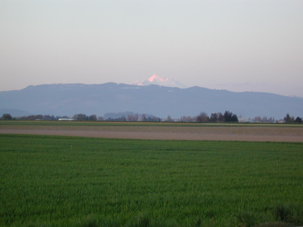 Sunset on Mt. Baker