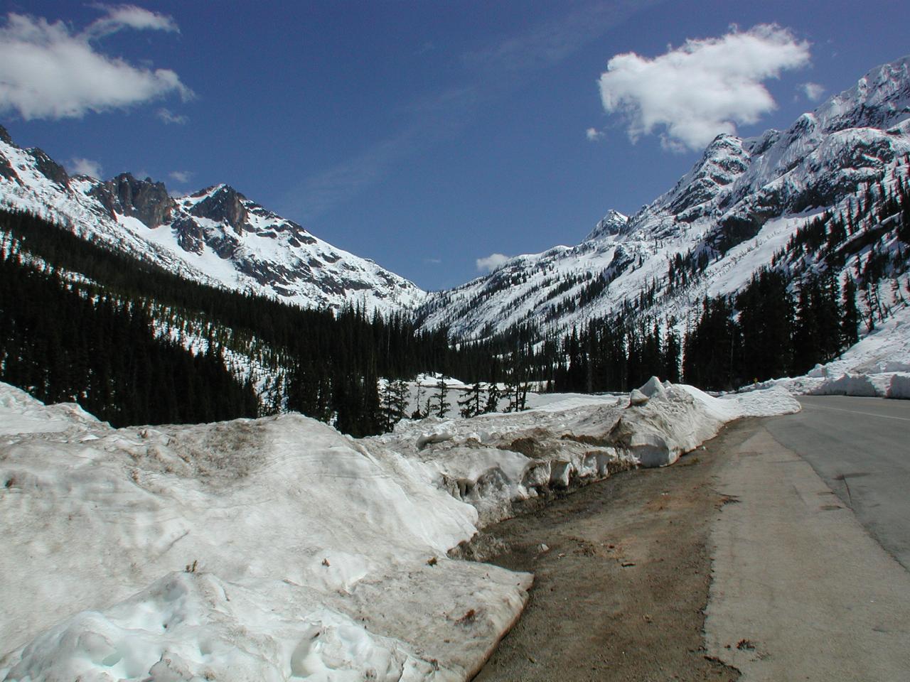 Early Winters Spires from just below Washington Pass