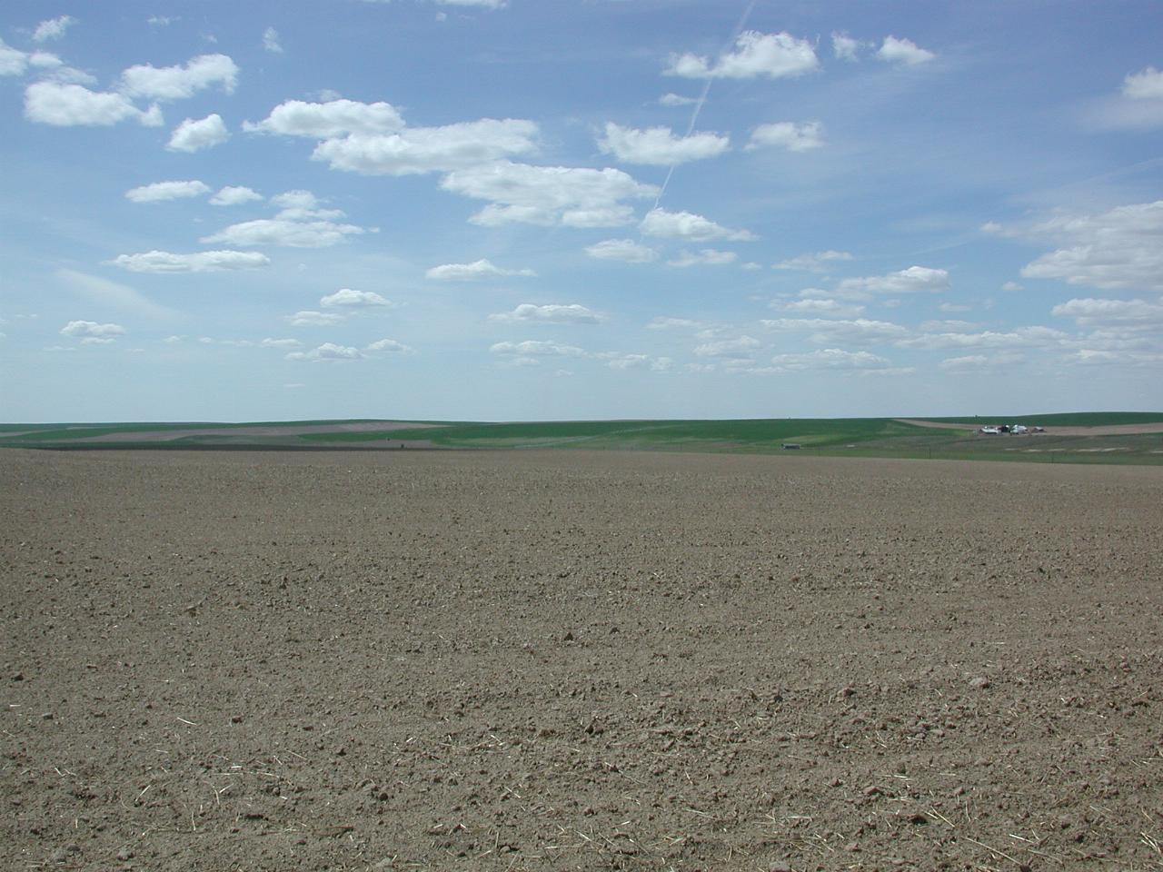 Looking SE from SR261, south of Ralston, WA