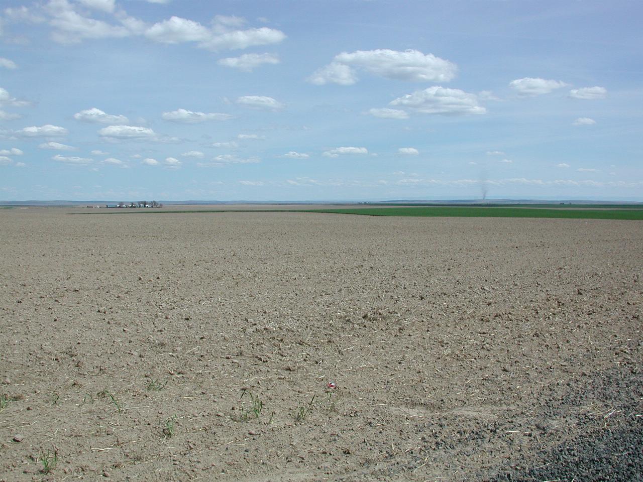 Looking SE from SR261, south of Ralston, WA, smoke in distance