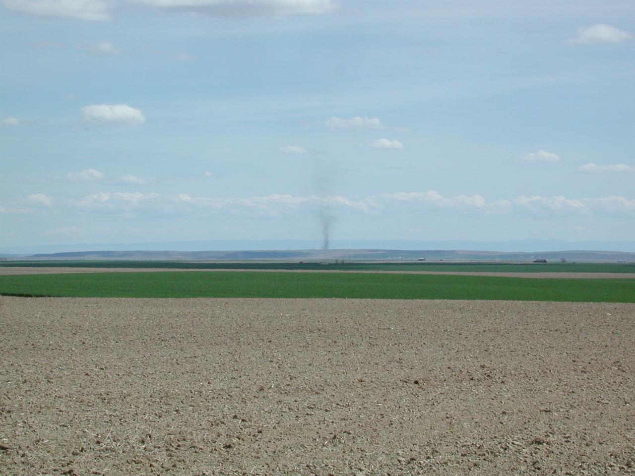 Looking SE from SR261, south of Ralston, WA, smoke in distance (close up)