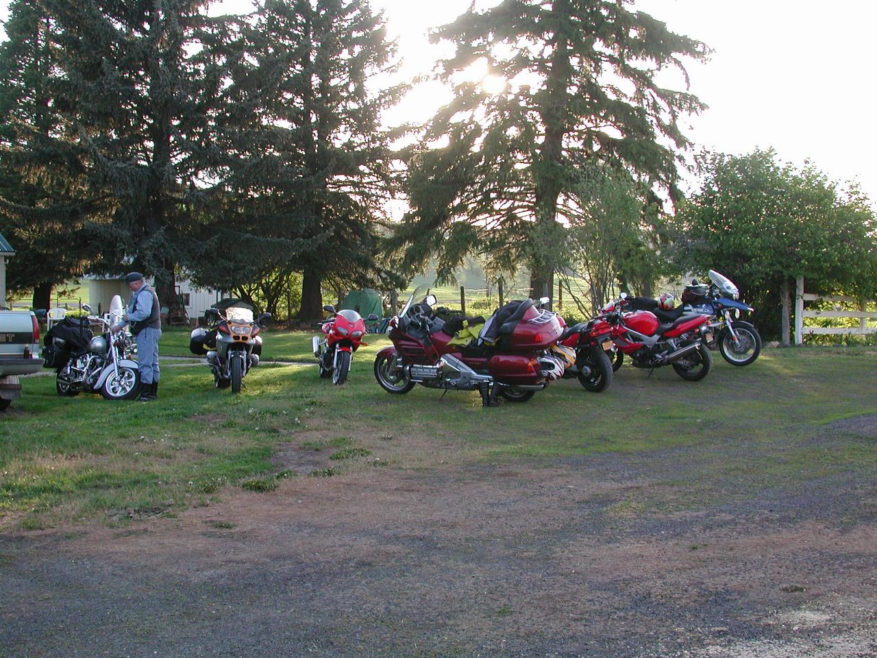 Bike's lined up in front of Thompson's home for Friday night feed (John 'Big Dog')