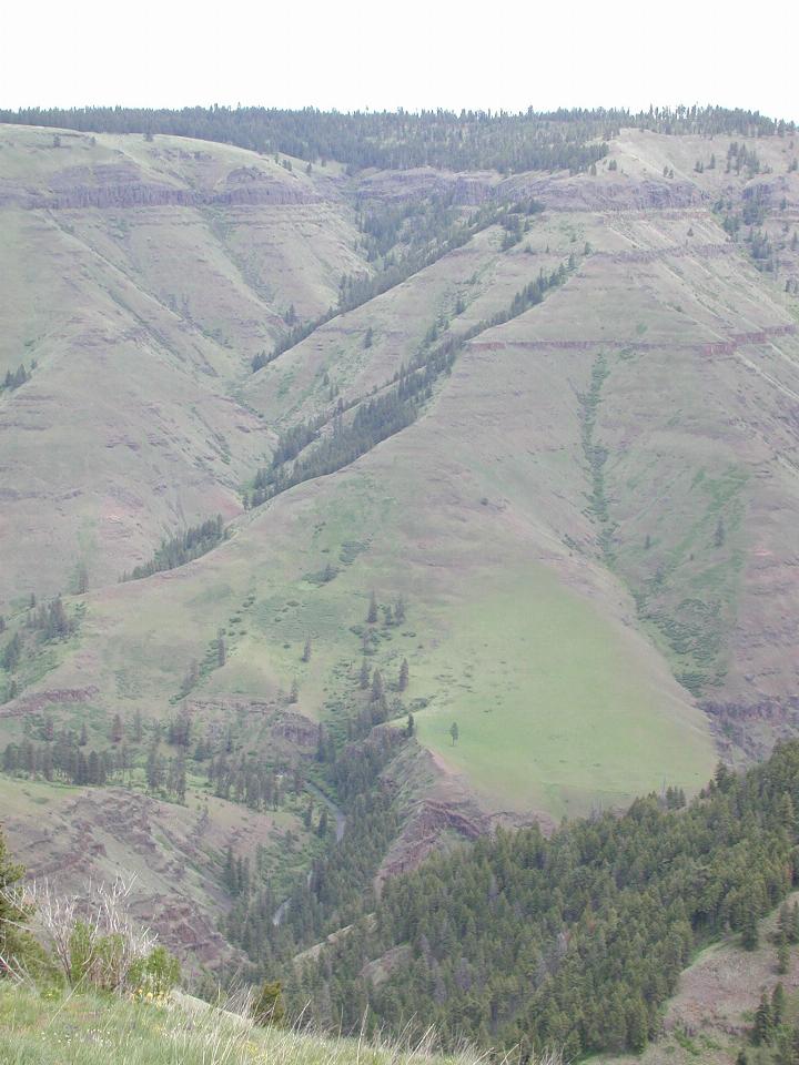 Chief Joseph Canyon showing river at the bottom