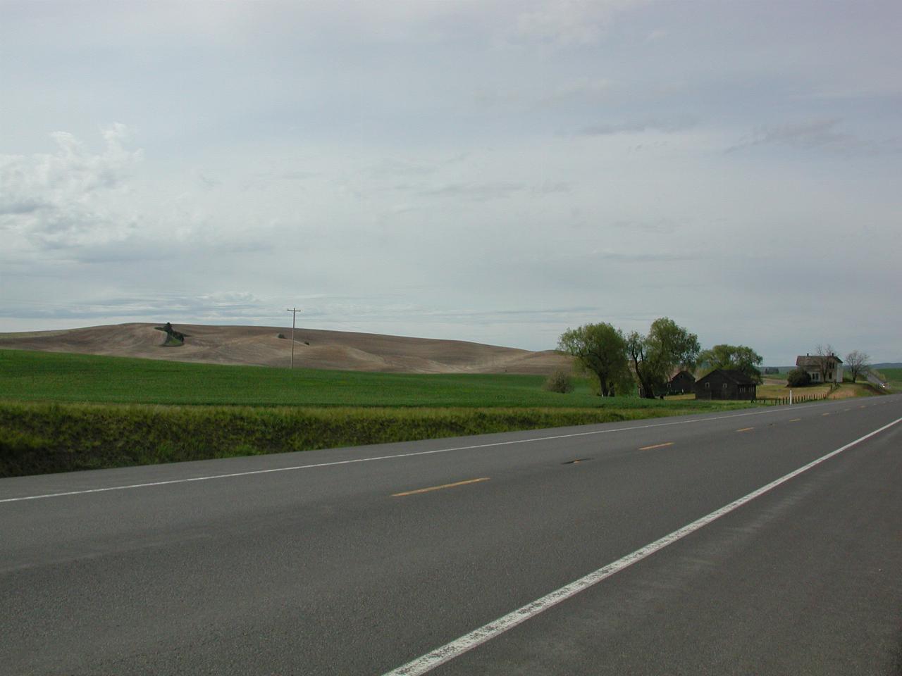 Palouse landscape, south of Pullman, WA on WA195