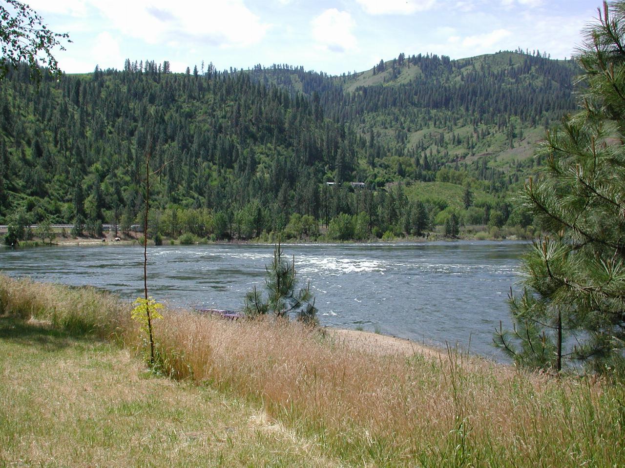 Clearwater River (downstream of Dworshak Dam flow) at rest stop in previous photo