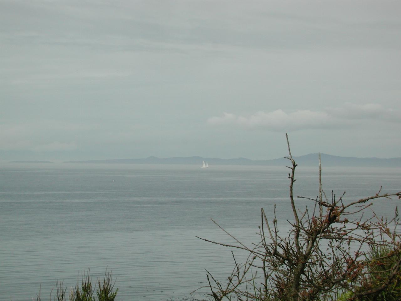 Sailing off Victoria