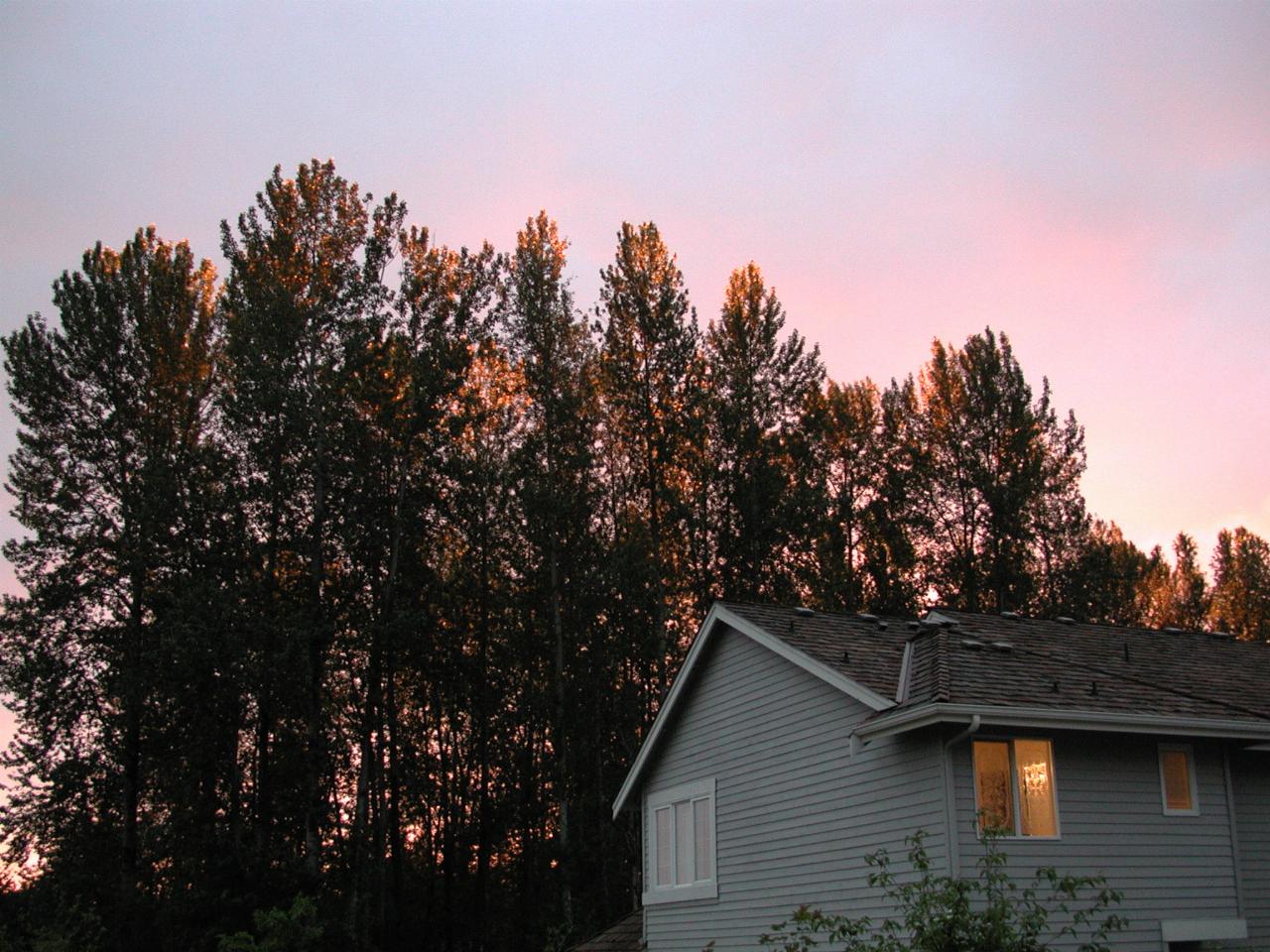 Sunset's golden glow, as seen from my backyard, looking north west