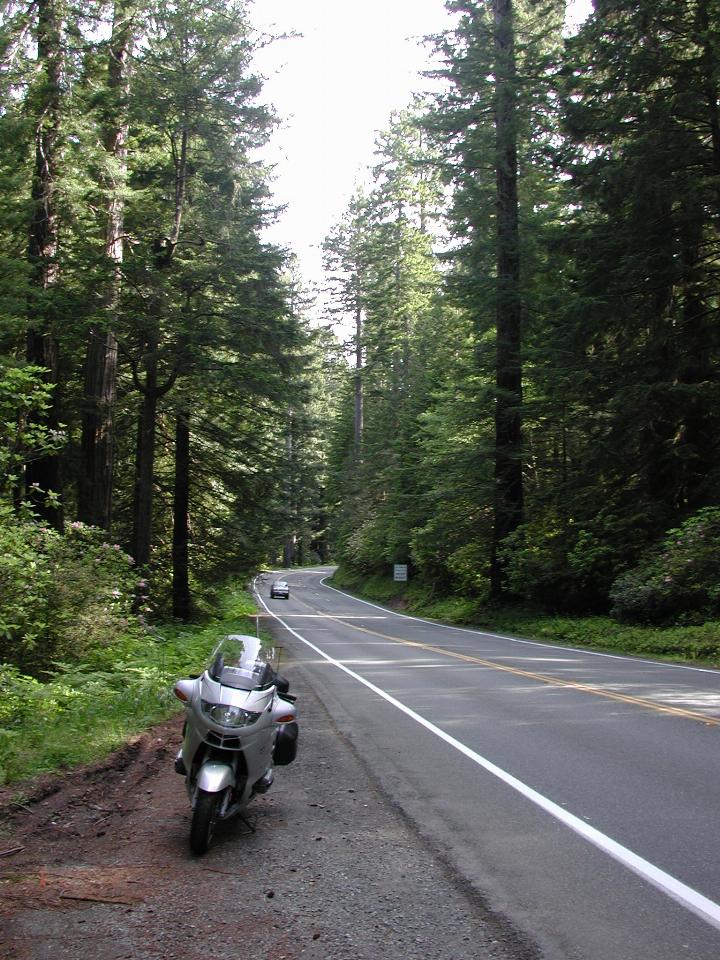 By the side of the Redwoods, on US101 south of Crescent City