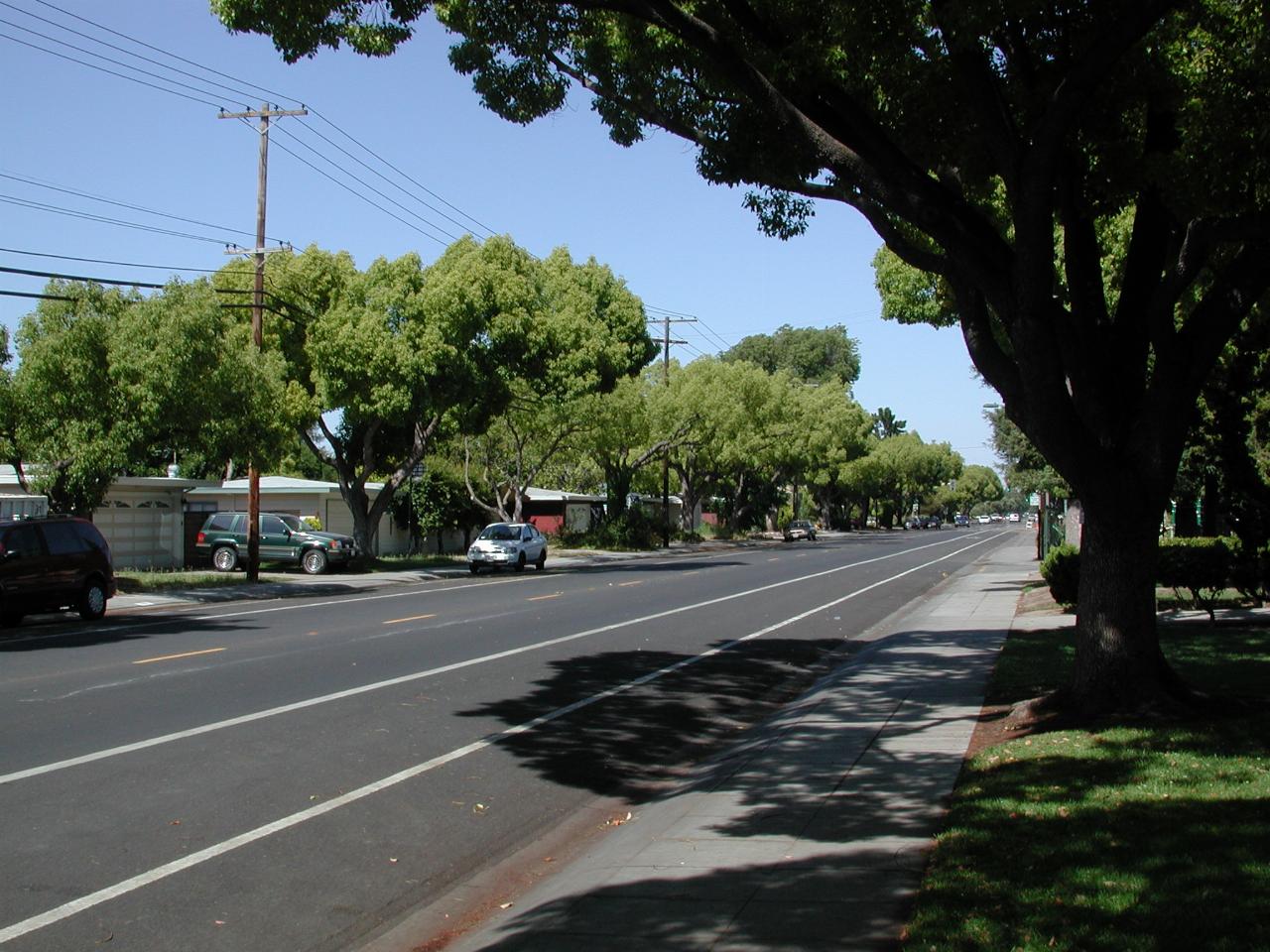 Nearby street in Palo Alto