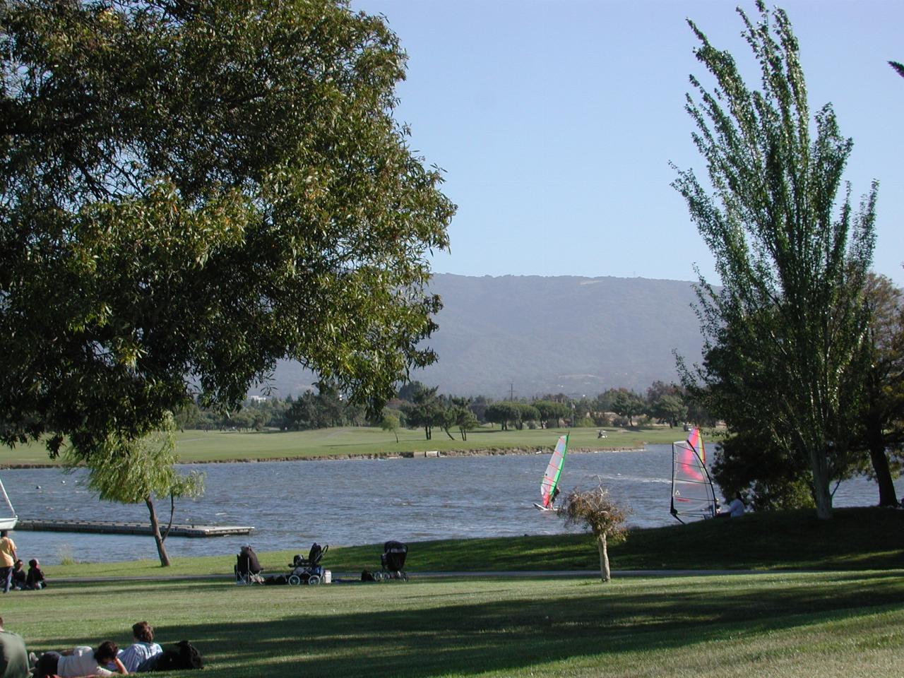 Windsurfers and general view of Baylands area of Palo Alto