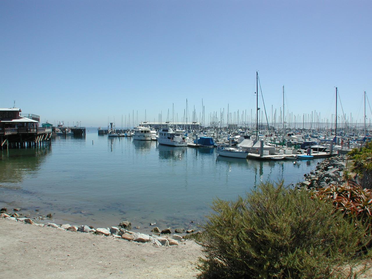 Monterey Harbour, as seen from near the previous tablets