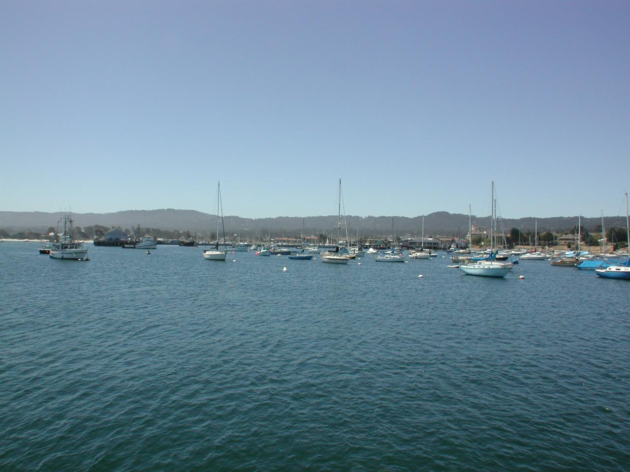 Looking roughly east from breakwater, towards downtown Monterey