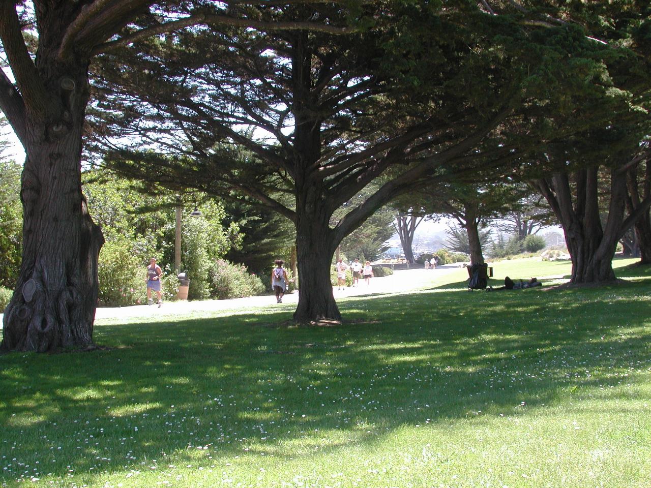 Walkway around Monterey Bay