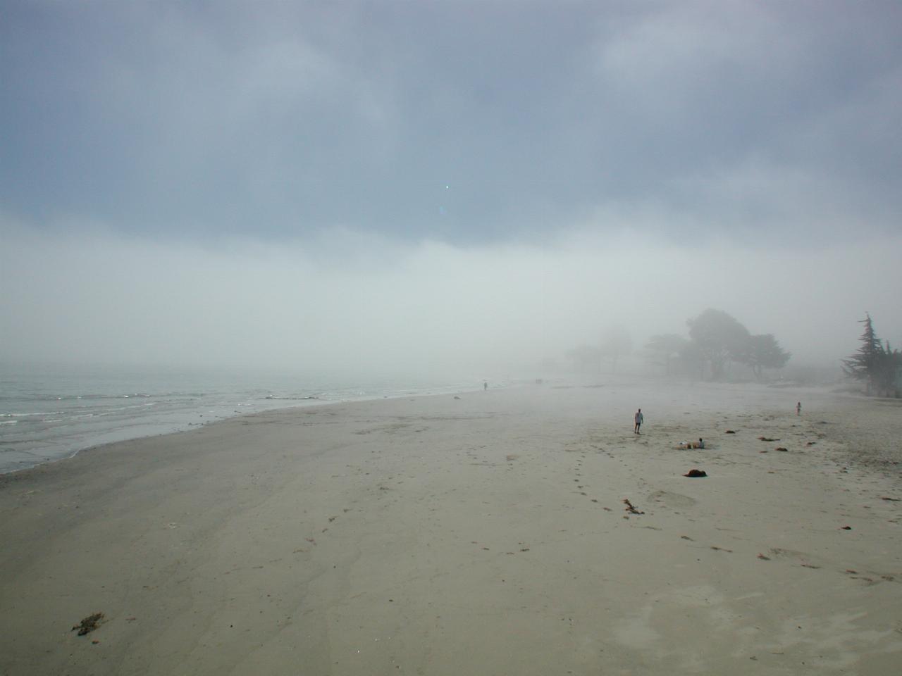 Fog rolling in over beach at downtown Monterey