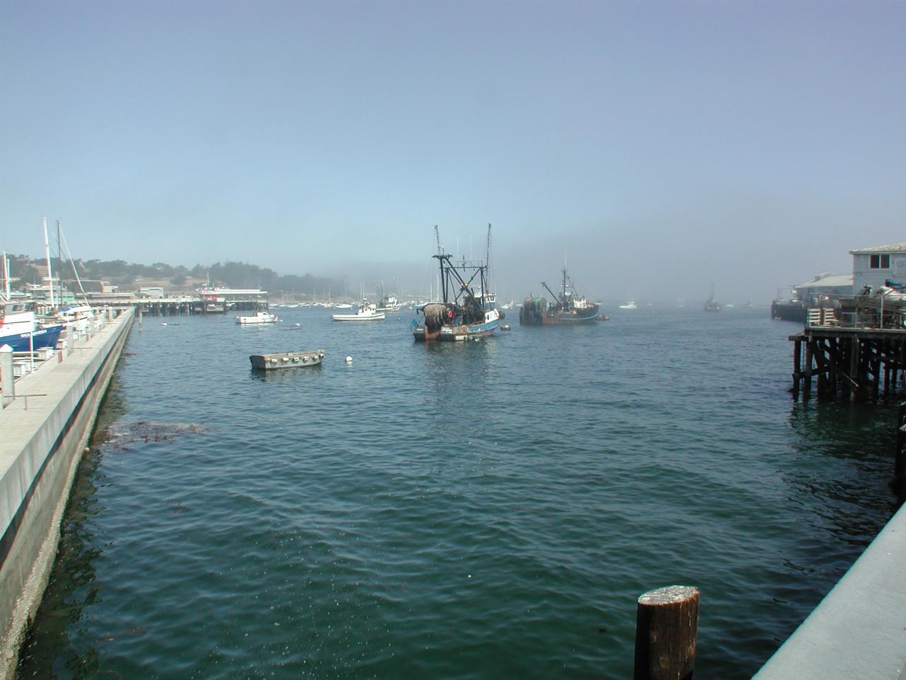 Monterey marina