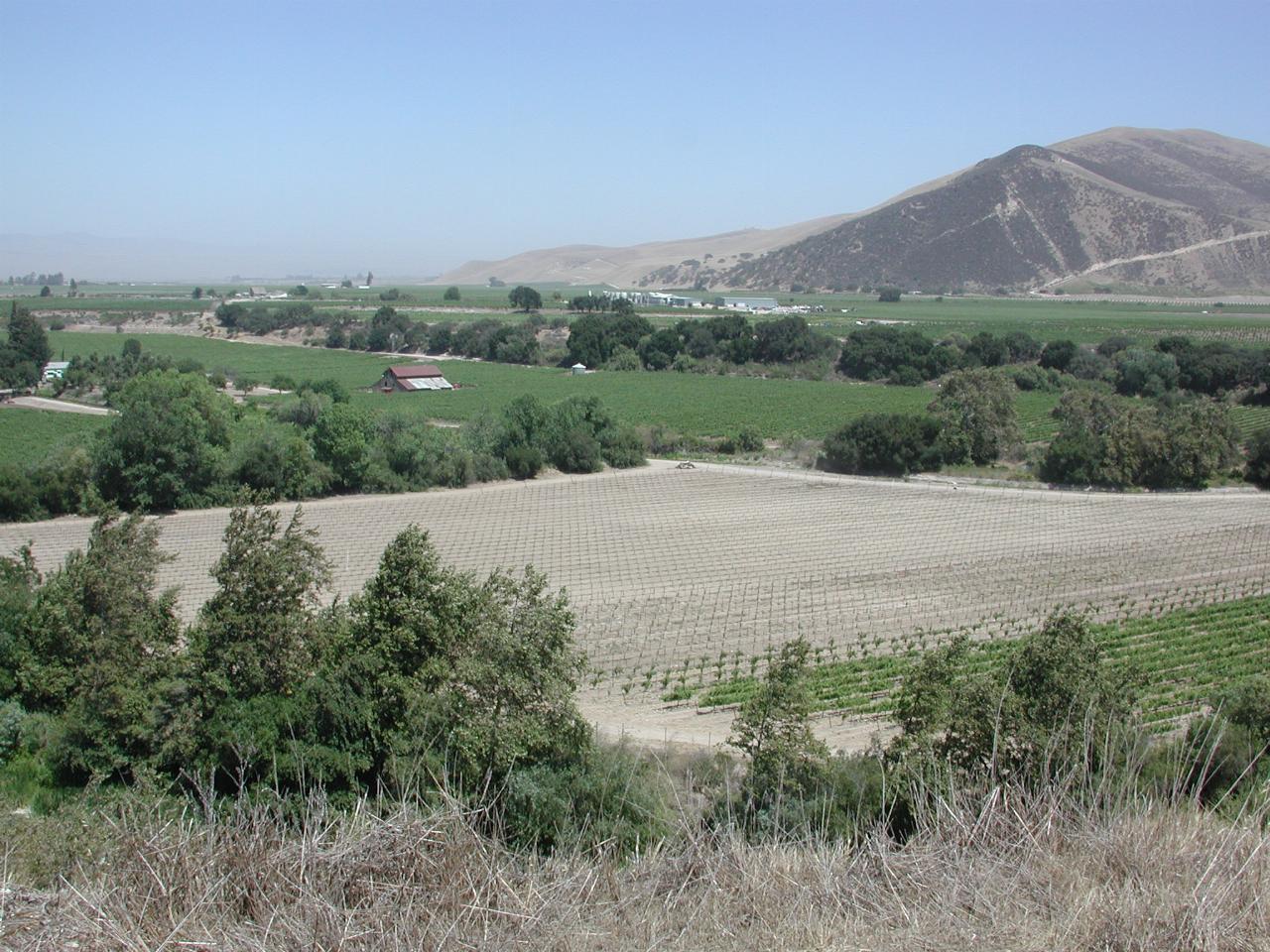 On Arroyo Seco Road, before joining US101 at Soledad