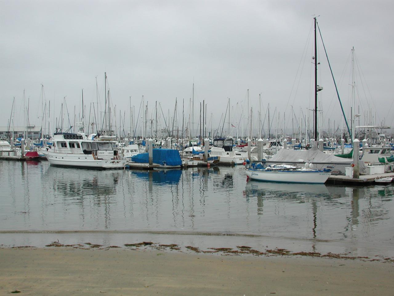 Reflections at Monterey marina