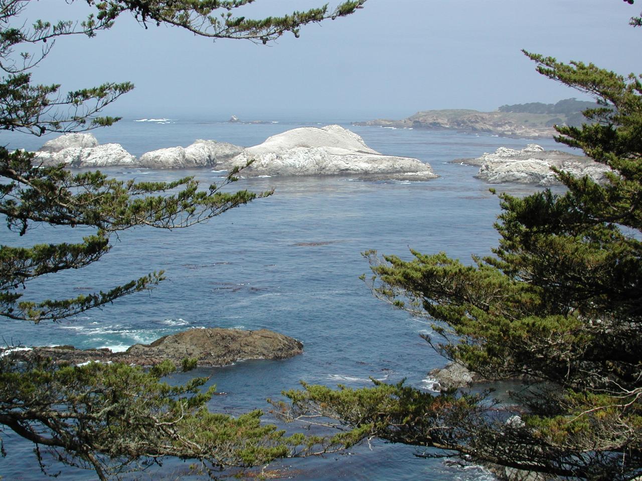 Rock formations off California coast south of Carmel