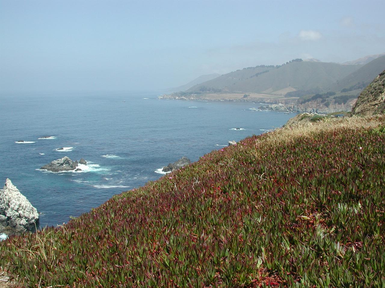 Rock formations off California coast south of Carmel