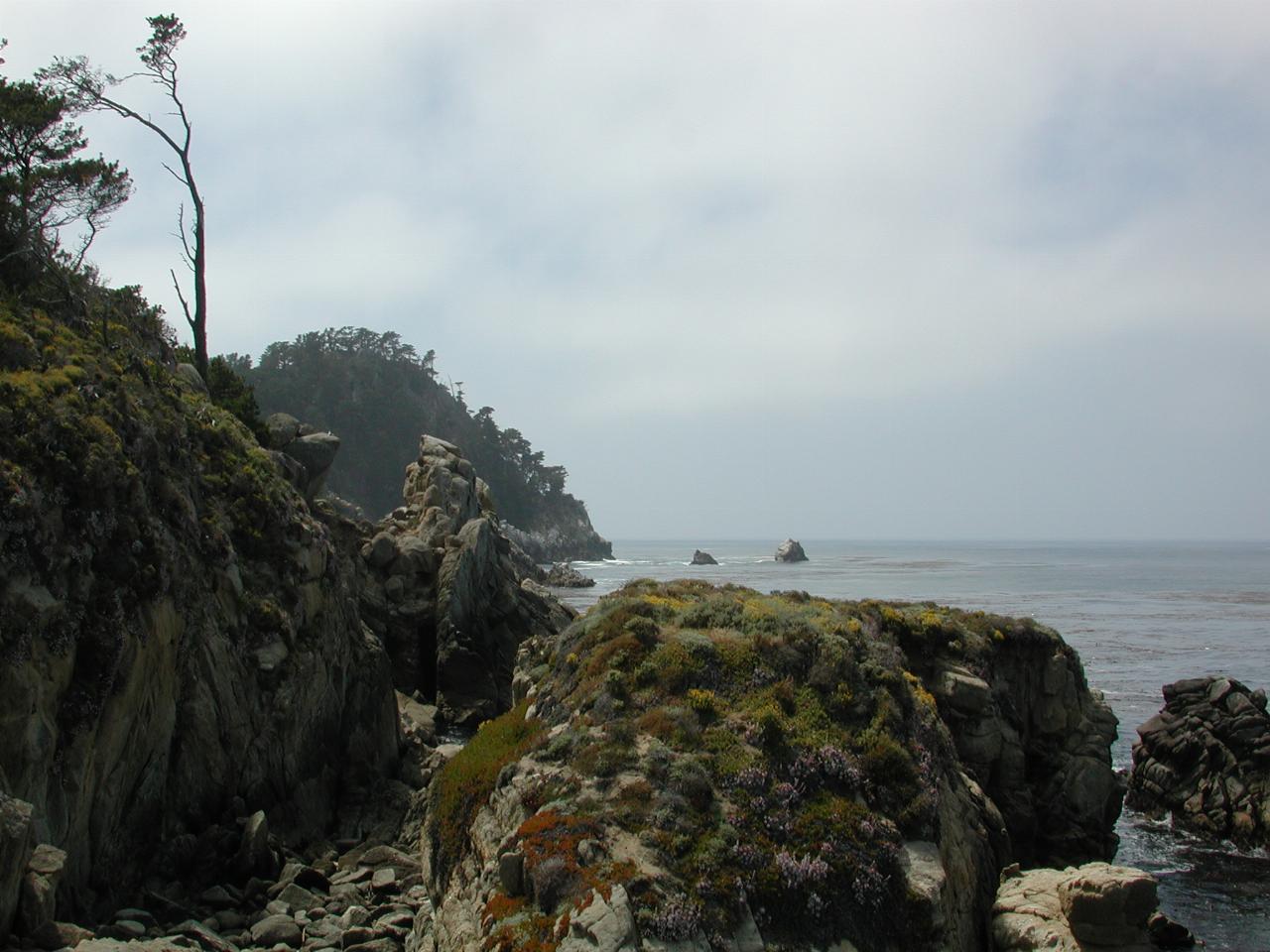 Point Lobos Park, just south of Carmel