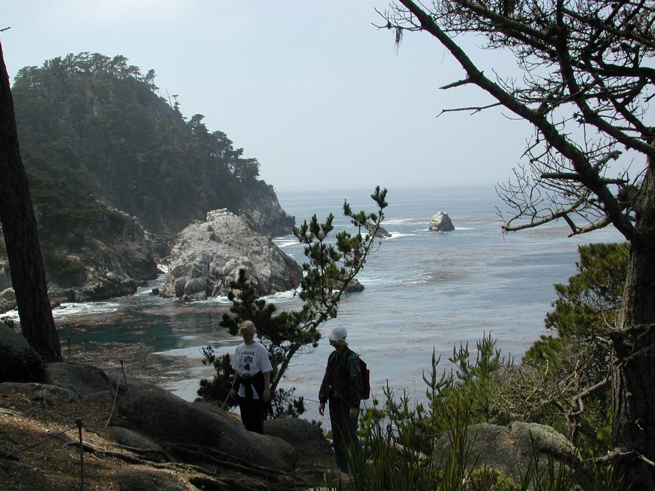 Point Lobos Park, just south of Carmel