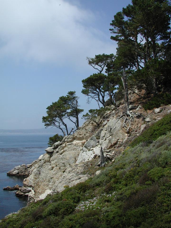 Point Lobos Park, just south of Carmel