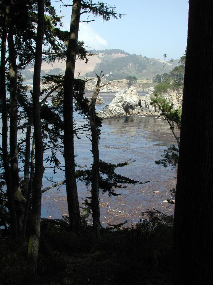 Point Lobos Park, just south of Carmel