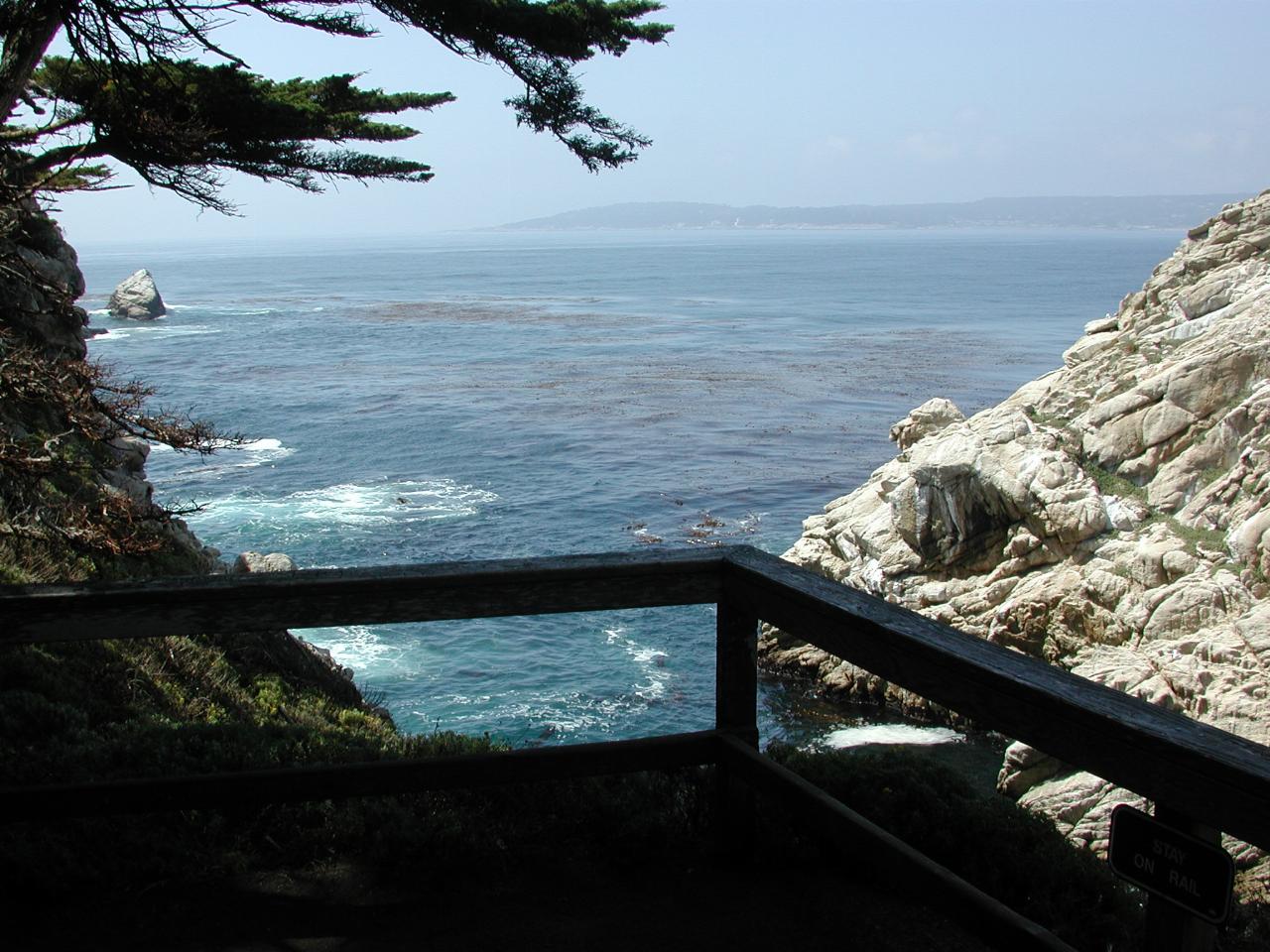 Point Lobos Park, just south of Carmel