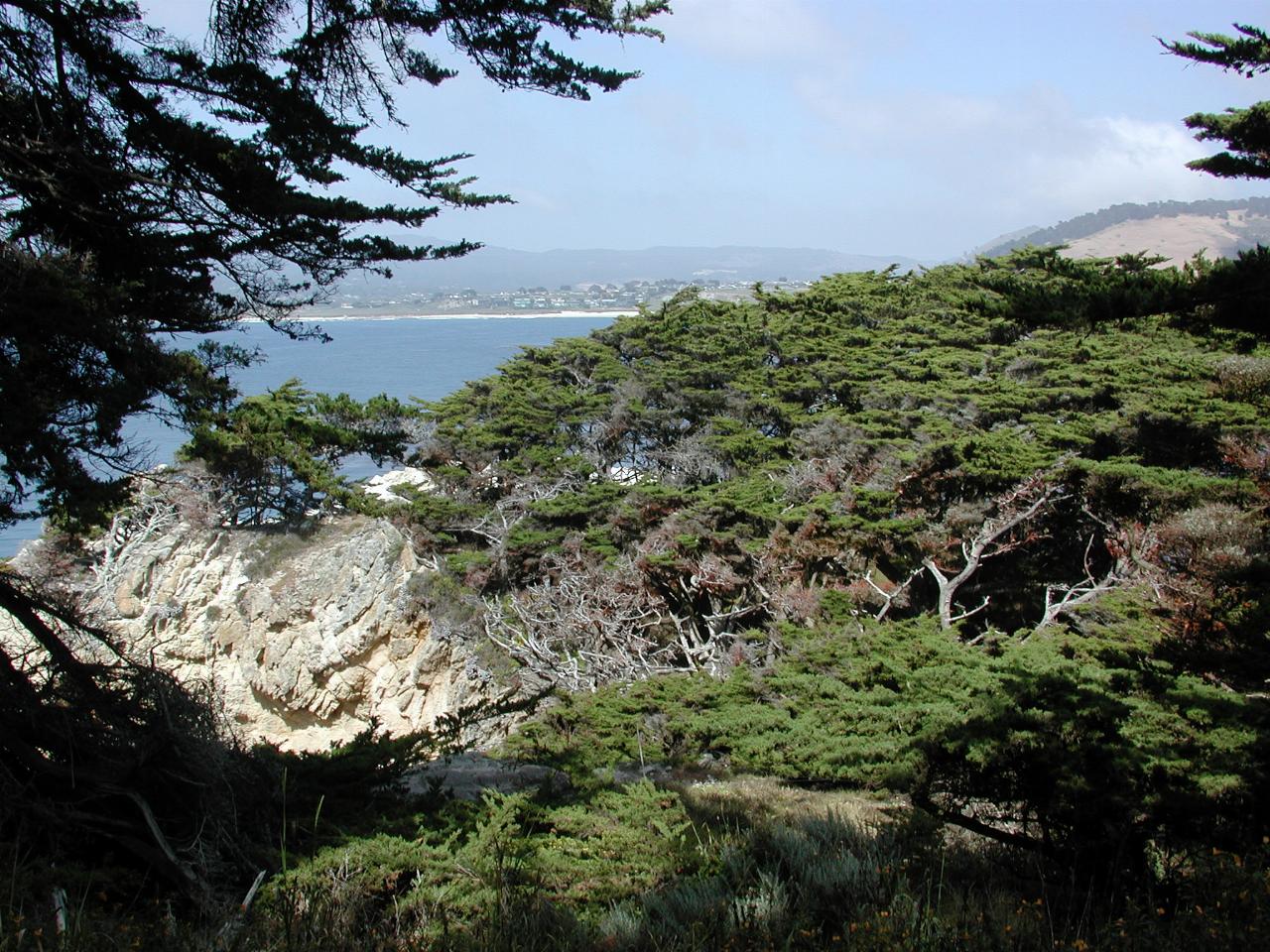 Point Lobos Park, just south of Carmel