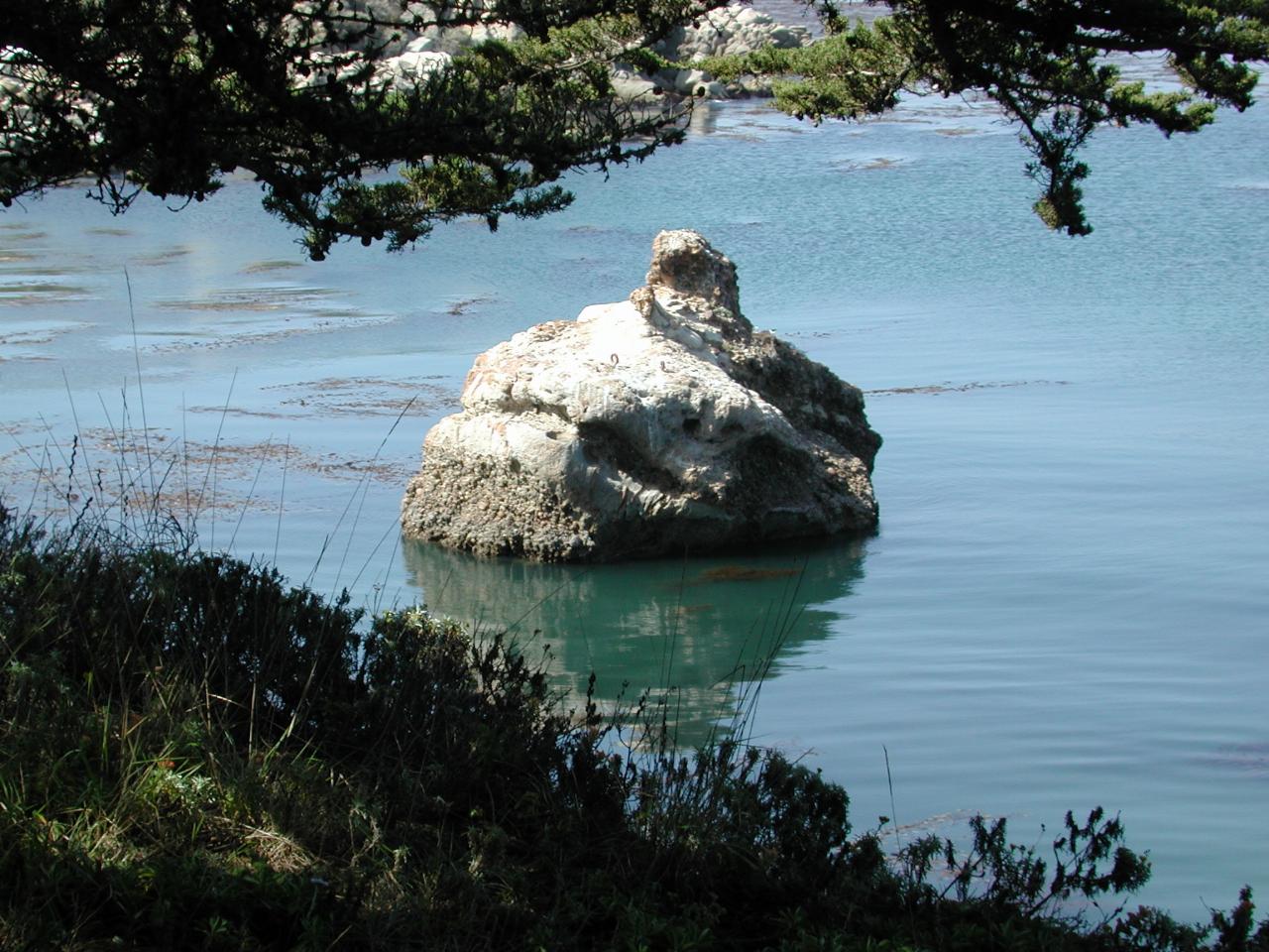 Rock in Whaler Cove which looks like a sea otter on its back