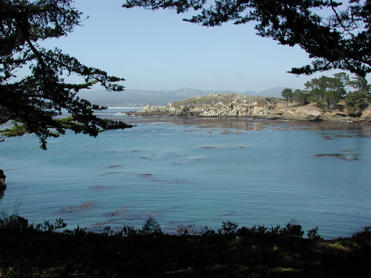 View over Whaler Cove towards the mainland