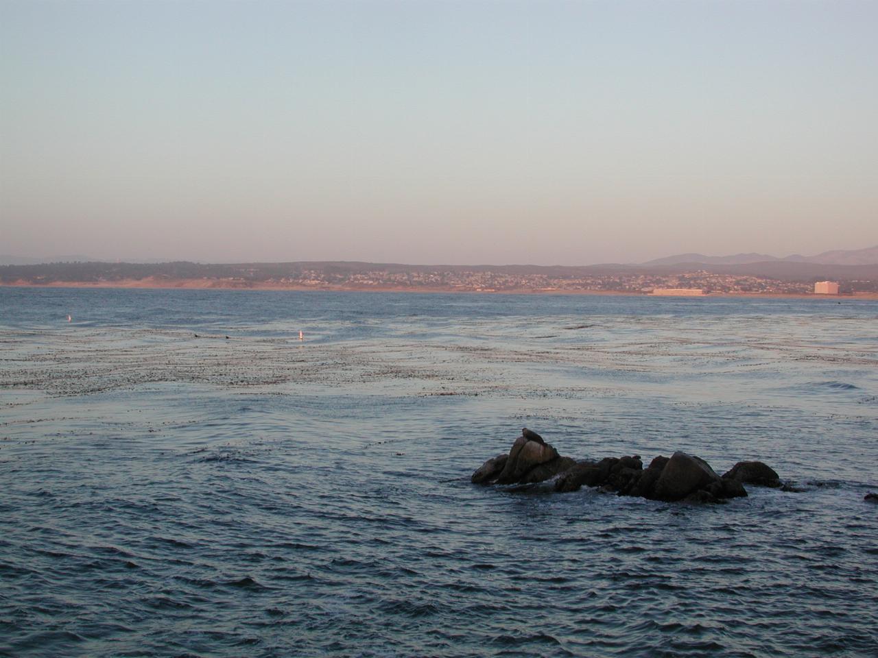 Looking north from Monterey Bay Aquarium - Usenix reception