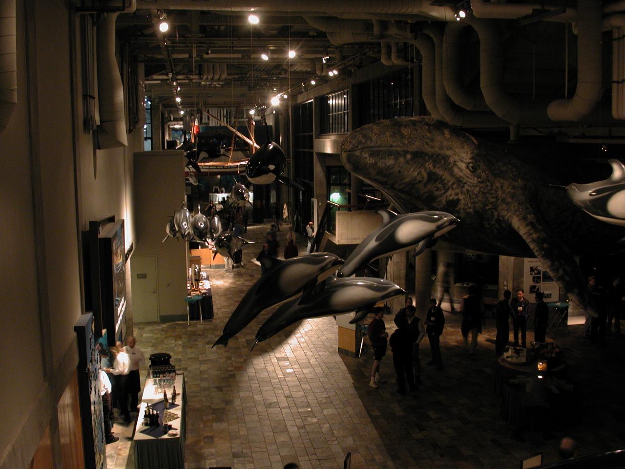 Overview of Monterey Bay Aquarium