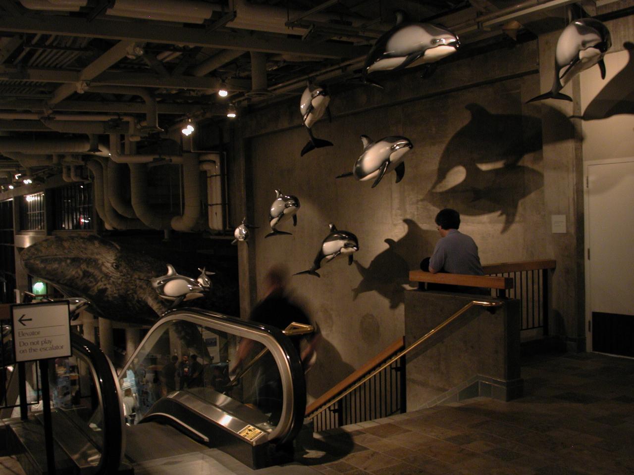 Overview of Monterey Bay Aquarium