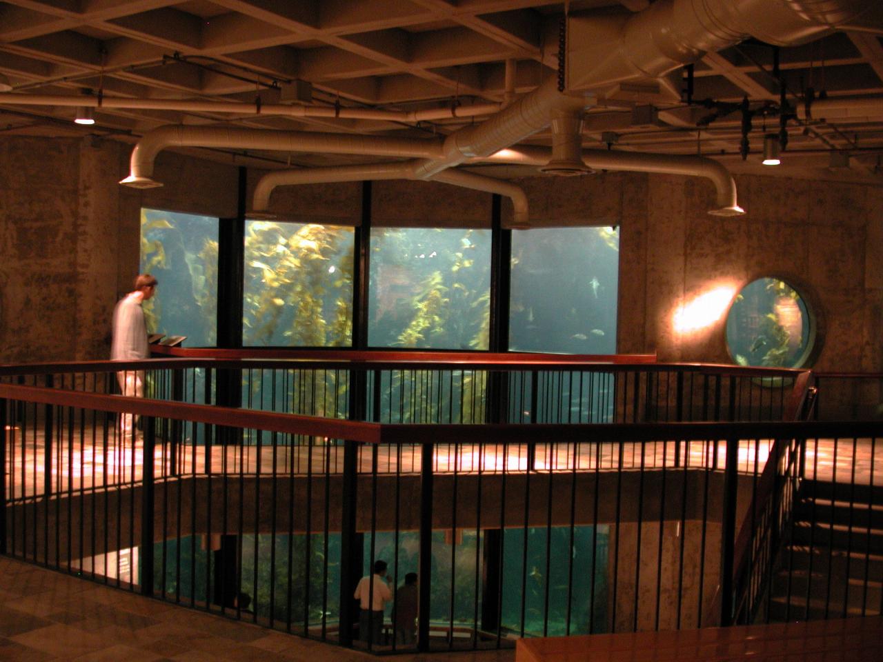 Overview of Monterey Bay Aquarium