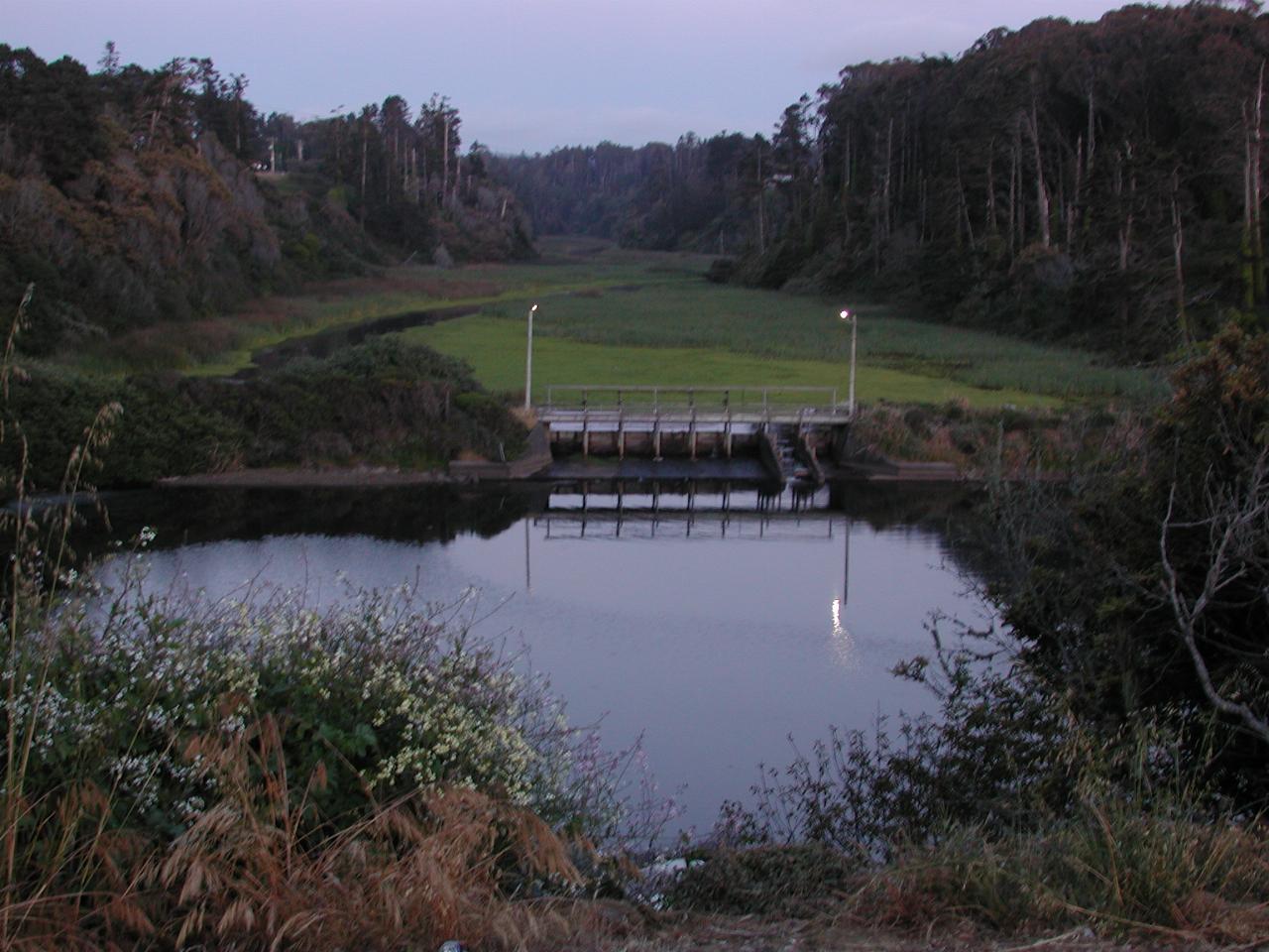 Pudding Creek (back of the Beach House Inn), Fort Bragg