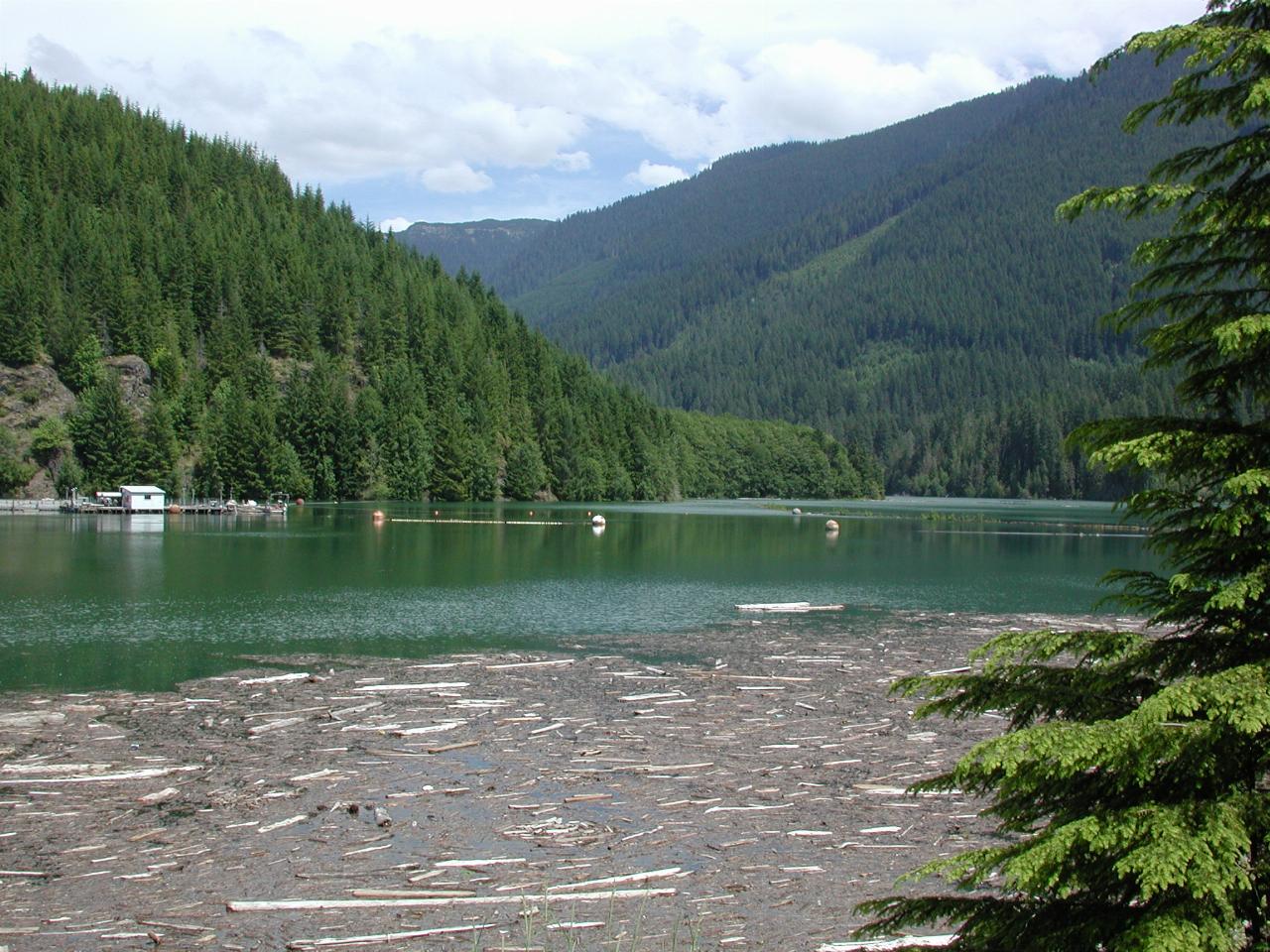 Baker Lake at the dam wall; full now, and plenty of debris