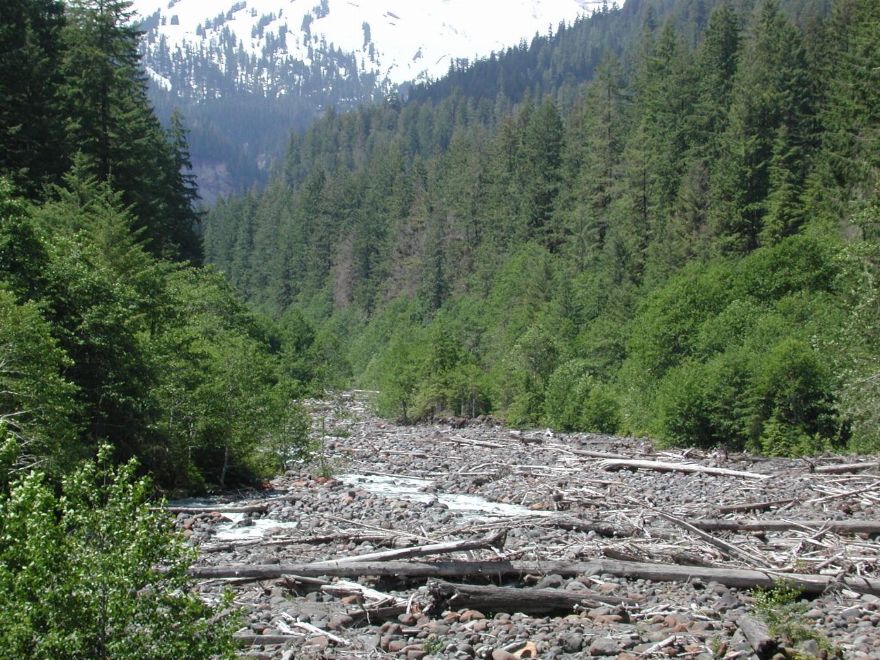 Boulder Creek, not flowing much, looking towards Mt. Baker (trust me!)