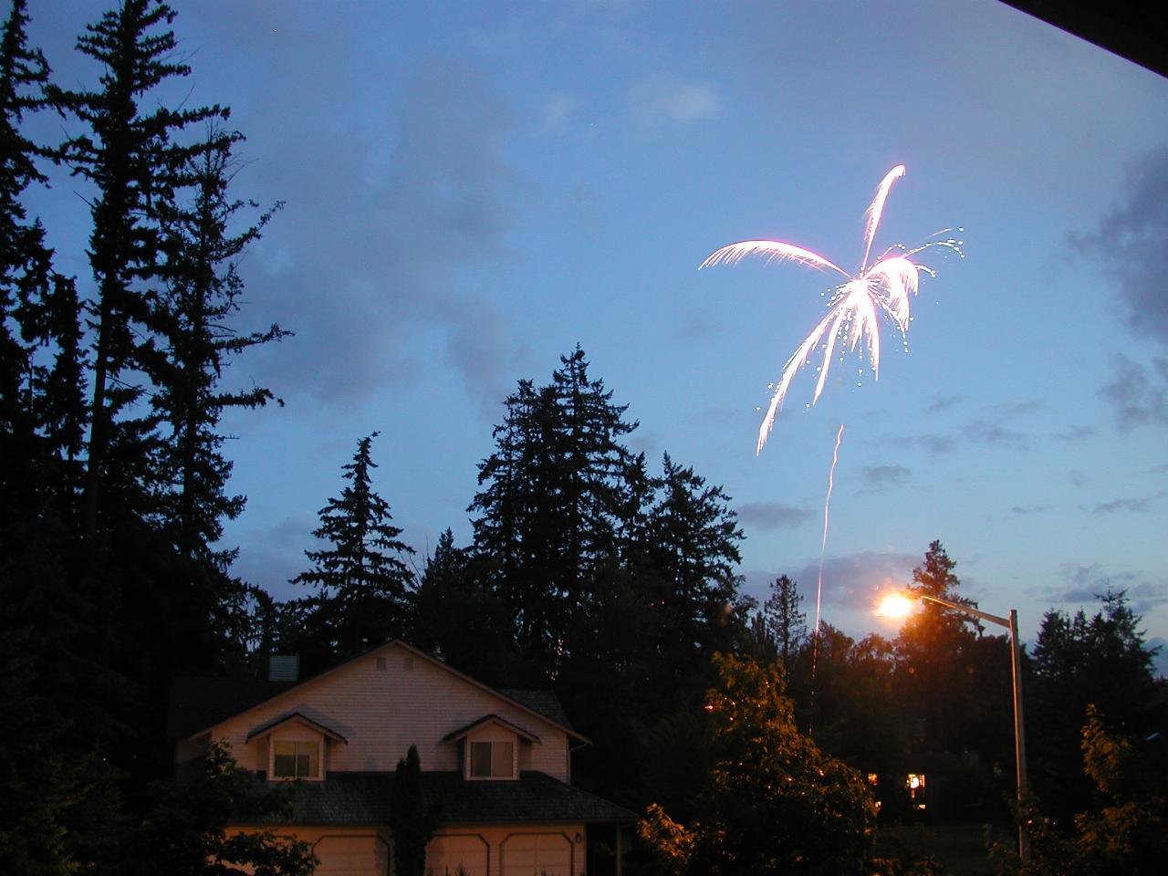 Indedpendence Day fireworks - south west from my bedroom window