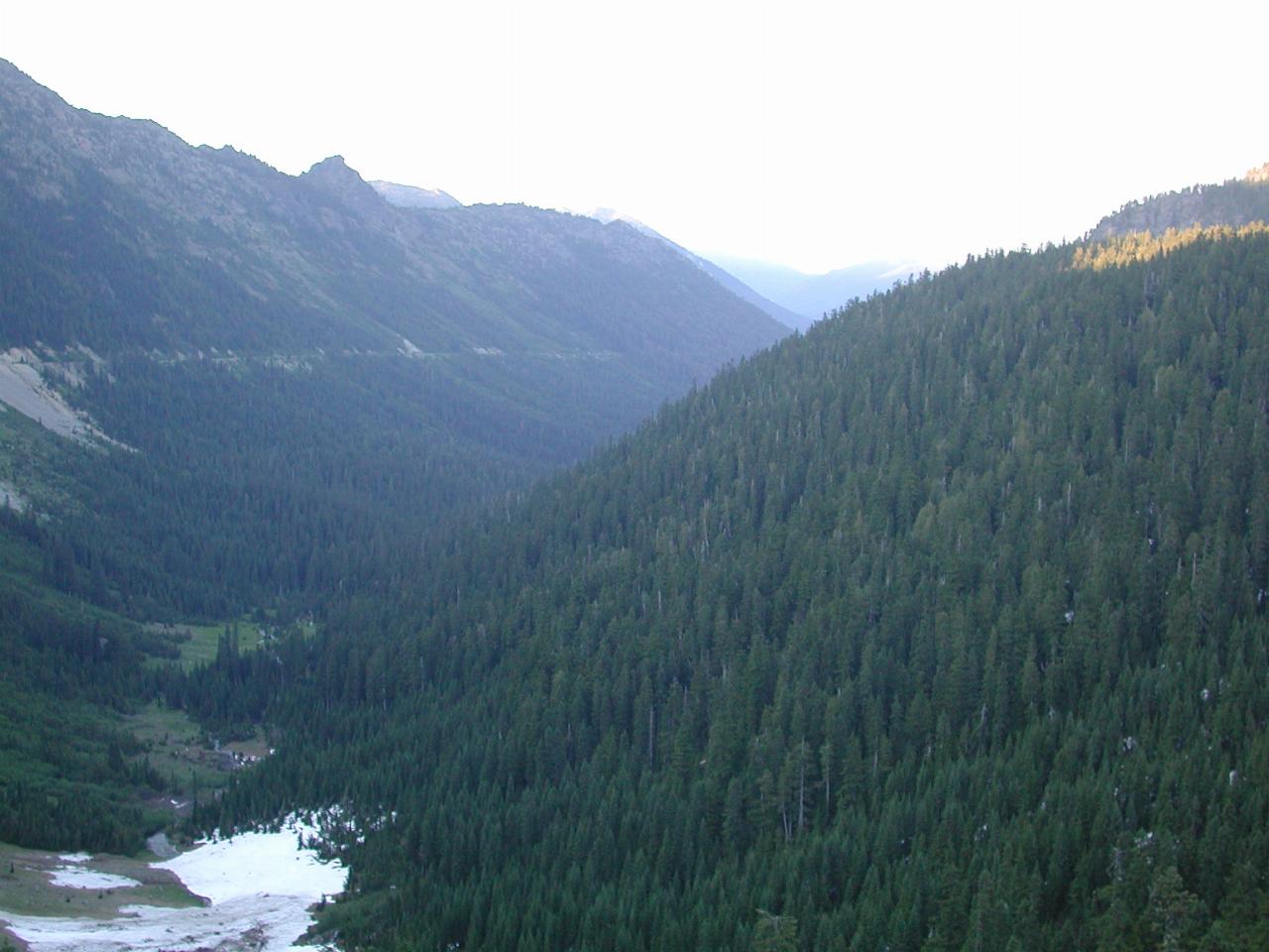 Looking east from just north of Chinook Pass, Wenatchee National Forest