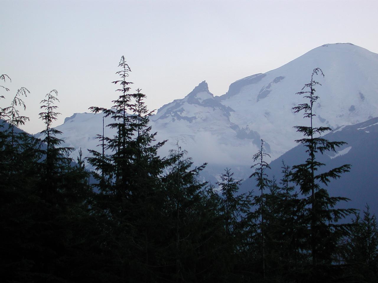 Mt. Rainier, from SR410 near the Sunrise turnoff, west of Cayuse Pass, showing clouds (between trees)