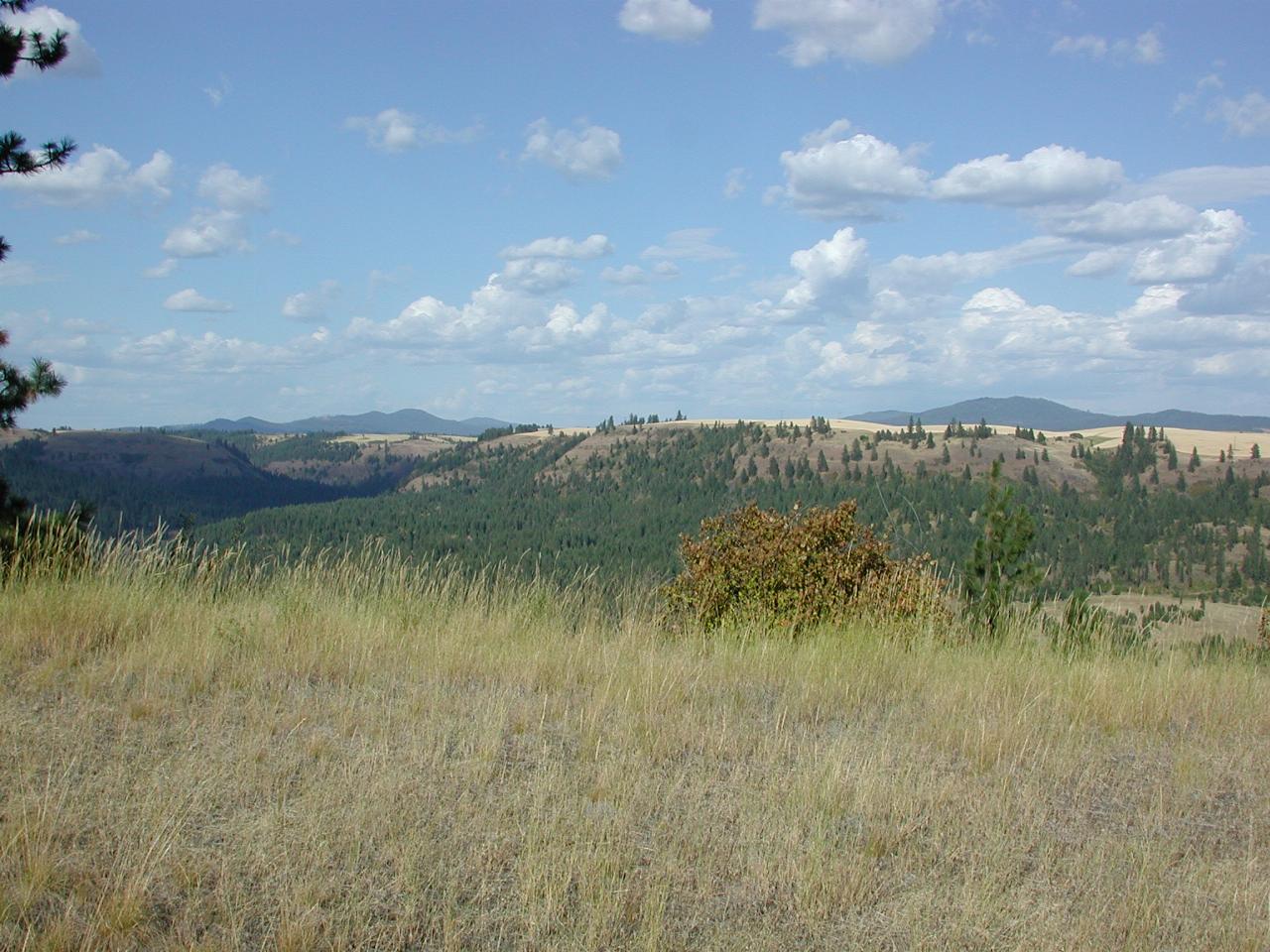 Valleys and farmland near Kendrick, ID