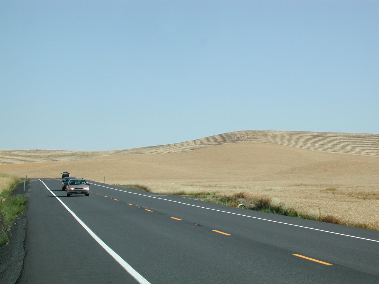 Wheat fields, partly harvested, south of Pullman WA