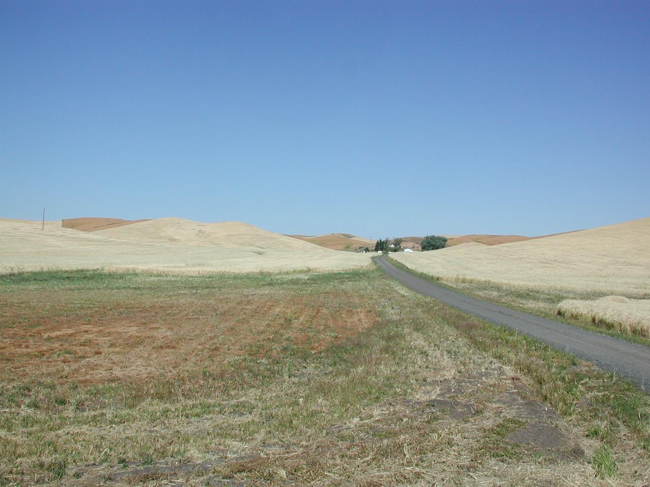 Wheat fields, partly harvested, south of Pullman WA