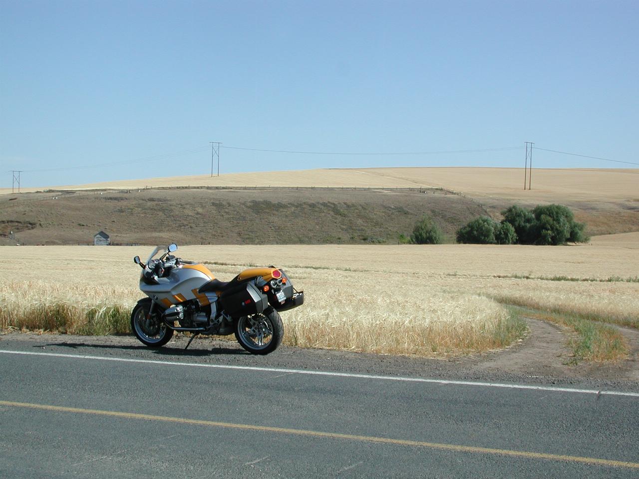 Wheat fields on the Wawawai Road, between Colton and Pullman, WA