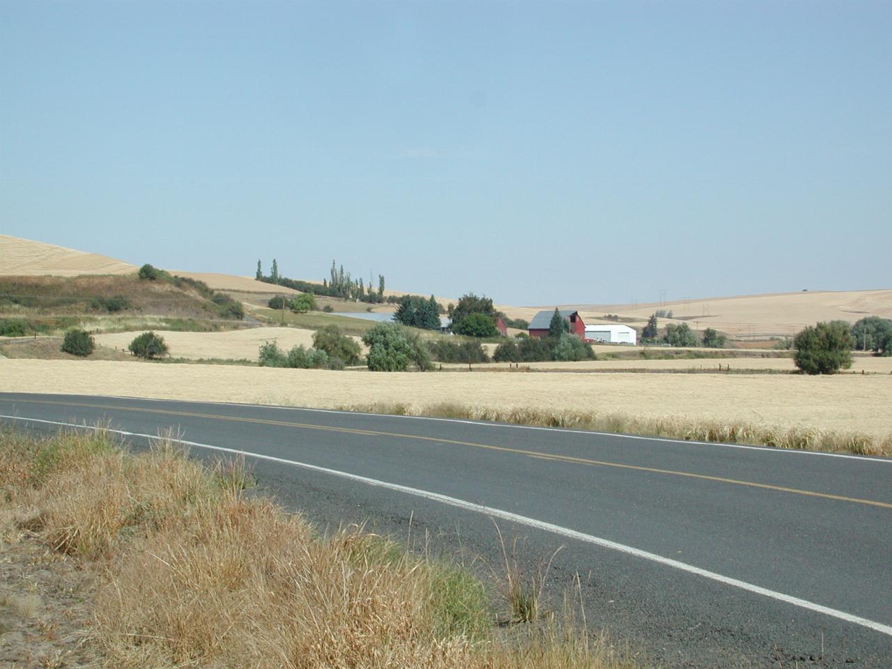 Wheat fields on the Wawawai Road, between Colton and Pullman, WA