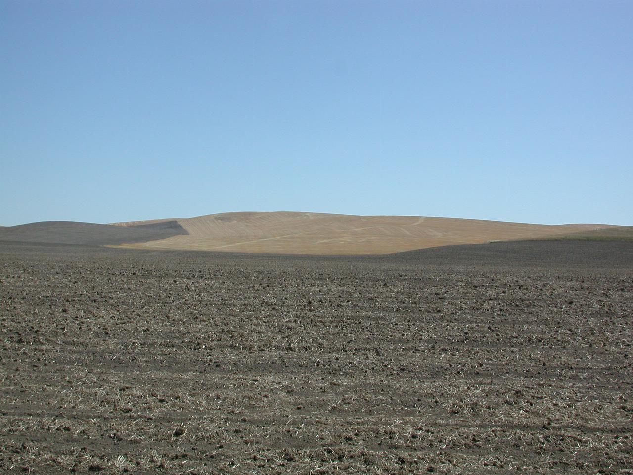 Wheat field on SR-127 north of Walla Walla; stubble has been ploughed in after harvest