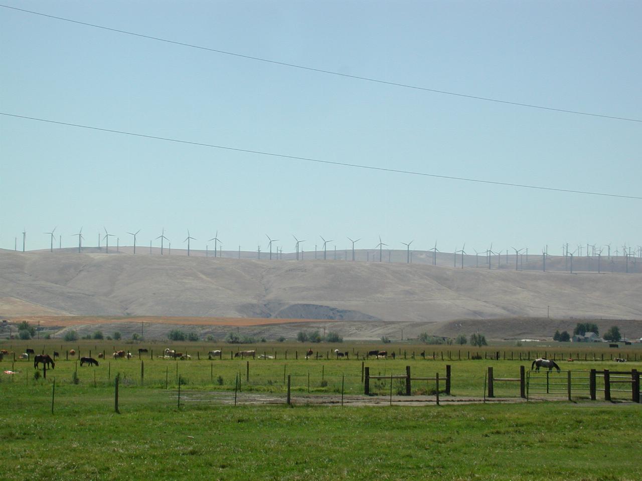 Stateline Wind Farm (electricity generators) on US-12 near Wallula, WA